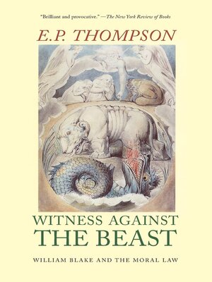 cover image of Witness Against the Beast